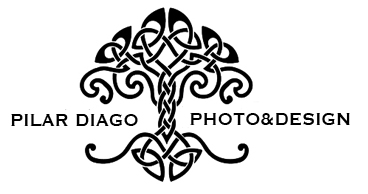 Logo de La Diago Studio