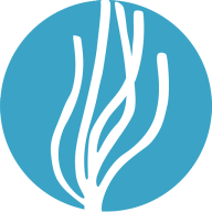 Logo de Mediterrània creativa