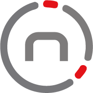 Logo de Netsis