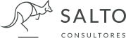 Logo de Salto Consultores