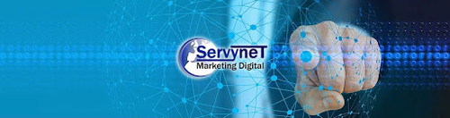 Logo de Servynet - Marketing Digital