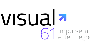 Logo de Visual61